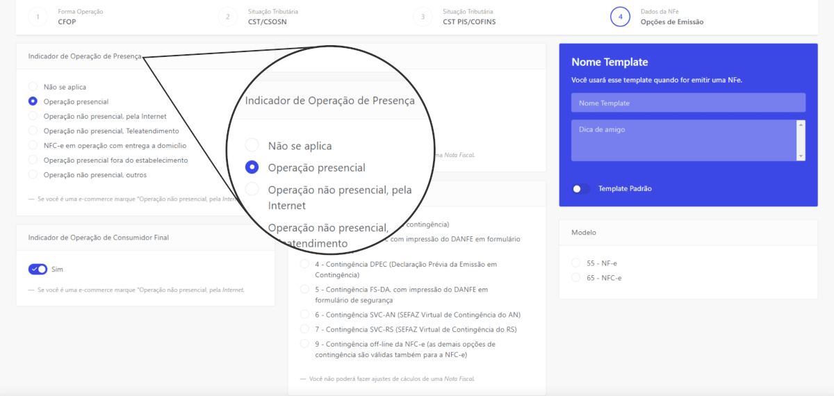 Como emitir 01