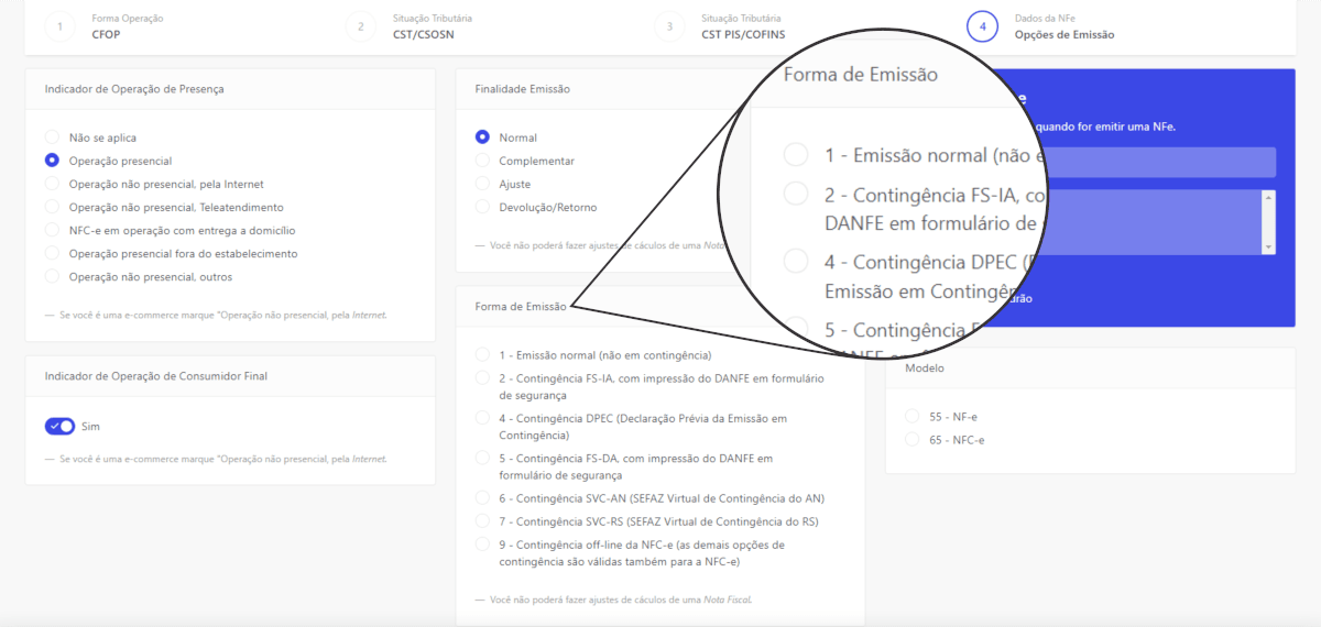 Como emitir 01